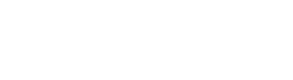 Partner 6