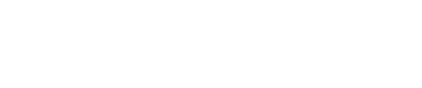 Partner 4